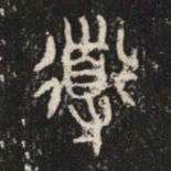 導书法图片