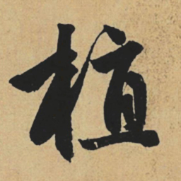 赵孟頫植书法图片