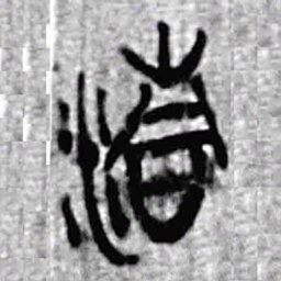 上博简清书法图片