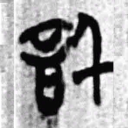 上博简信书法图片