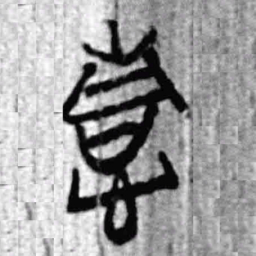 上博简情书法图片