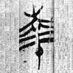 上博简南书法图片
