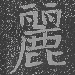 魏碑丽书法图片
