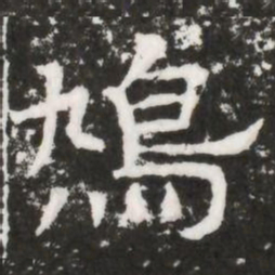 鳩书法图片
