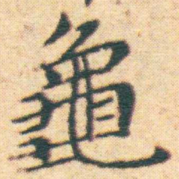 王宠龜书法图片