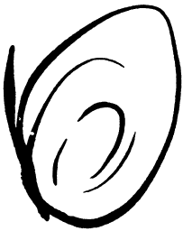 毛泽东回书法图片