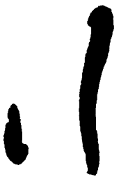 毛泽东行书法图片