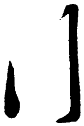 毛泽东行书法图片
