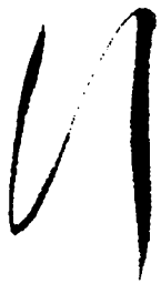毛泽东行书法图片