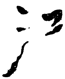 毛泽东江书法图片
