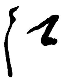 毛泽东江书法图片