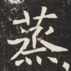 蒸书法图片