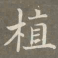 赵孟頫植书法图片