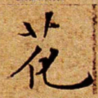 文征明花书法图片