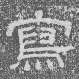 寫书法图片