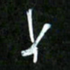 王英志上书法图片