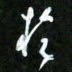 王英志于书法图片