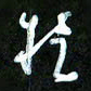 王英志于书法图片