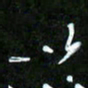 王英志以书法图片
