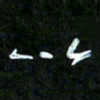 王英志以书法图片