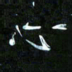 王英志心书法图片