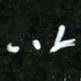 王英志以书法图片