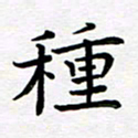 葛丽萍种书法图片