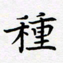 葛丽萍种书法图片