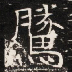 騰书法图片