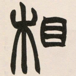 赵之谦相书法图片