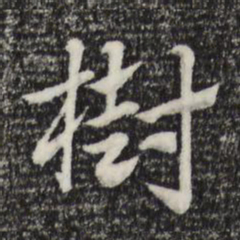 赵孟頫树书法图片