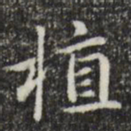 赵孟頫植书法图片