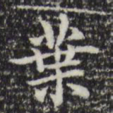 赵孟頫叶书法图片