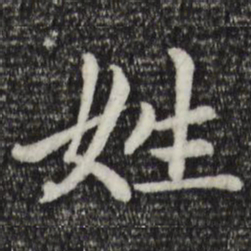 赵孟頫姓书法图片