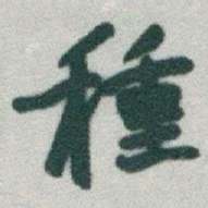 于右任種书法图片