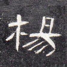 杨书法图片
