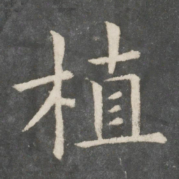 欧阳询植书法图片