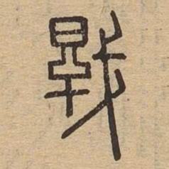干书法图片