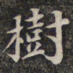 苏轼树书法图片