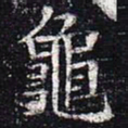龟书法图片