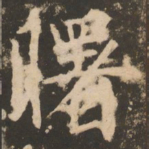 苏灵芝曙书法图片