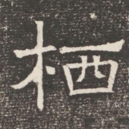 栖书法图片