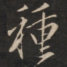 赵孟頫种书法图片