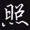 吴玉生照书法图片