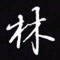 吴玉生林书法图片