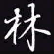 吴玉生林书法图片
