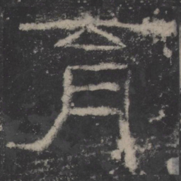 育书法图片