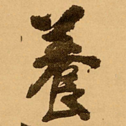 王铎养书法图片