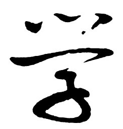 启功学书法图片