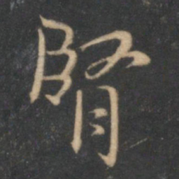 肾书法图片